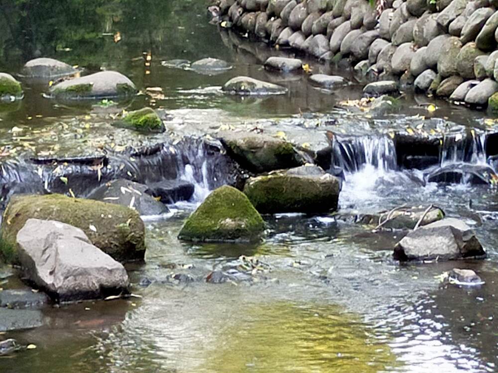 水辺を楽しめる等々力渓谷