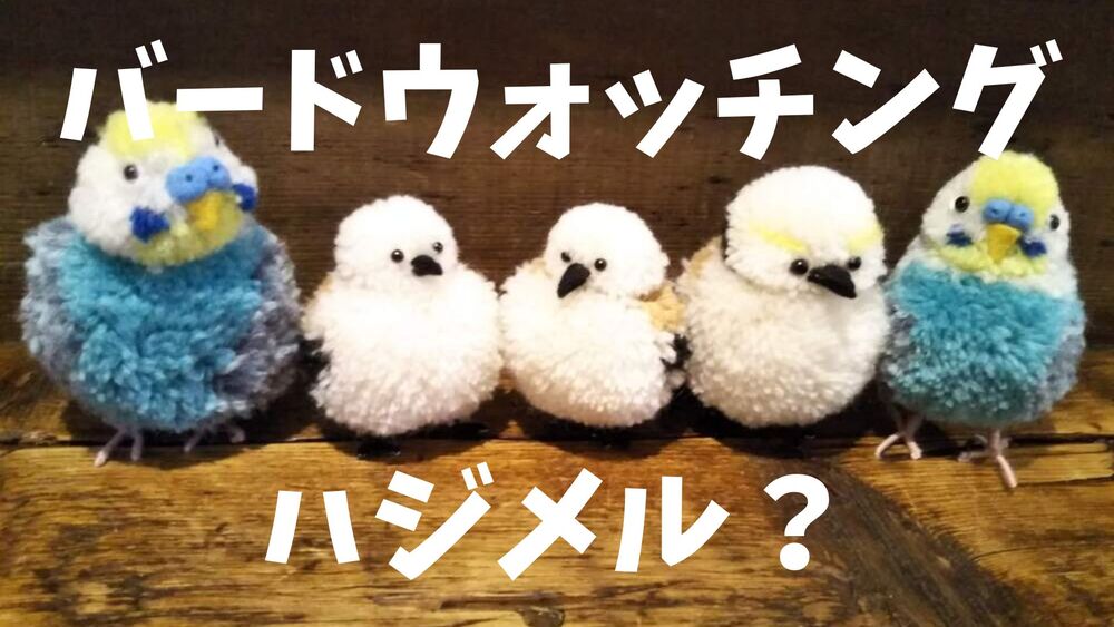 バードウォッチングハジメル